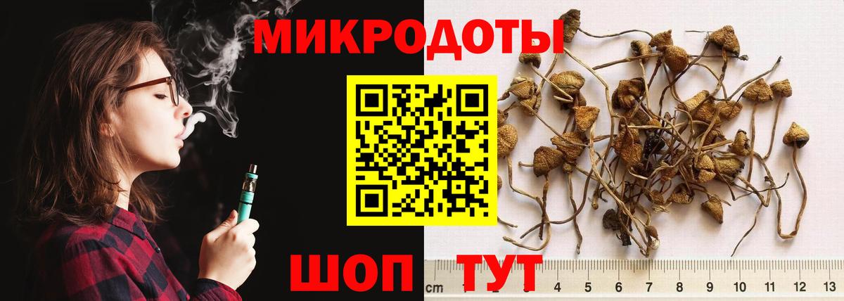 Галлюциногенные грибы Cubensis Партизанск